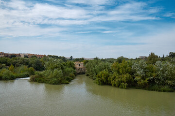 Fototapeta na wymiar El pozo del río antigua fortaleza consumida por el agua