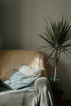 Cozy room