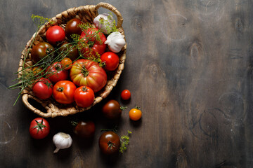 Fresh colorful ripe fall or summer heirloom variety tomatoes in a basket on dark wooden background....