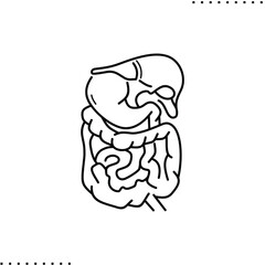 human digestive system: stomach, liver, intestines, pancreas vector icon in outlines