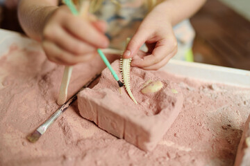 Child digging out a dinosaur toy from a plaster mold. Archaeological games for children. Exploring...