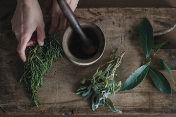 Closeup Of Woman's Hands Picking Fresh Herbs