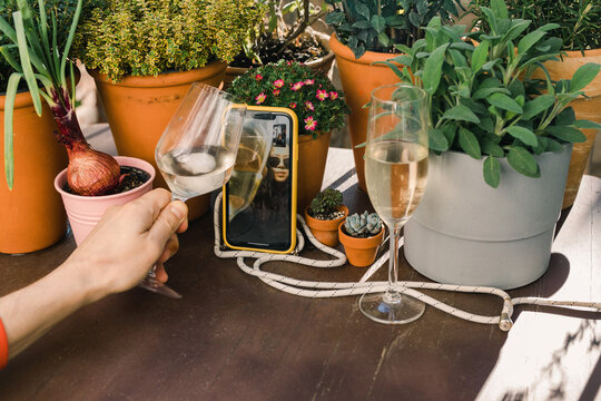 Day drinking over Video call during quarantine