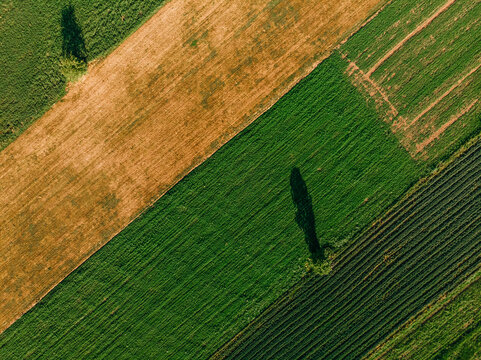 Countryside