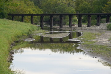 newton bridge