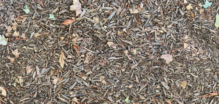 Autumn Bround Texture. Forest floor.