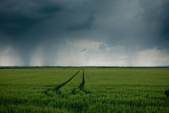 Farmland