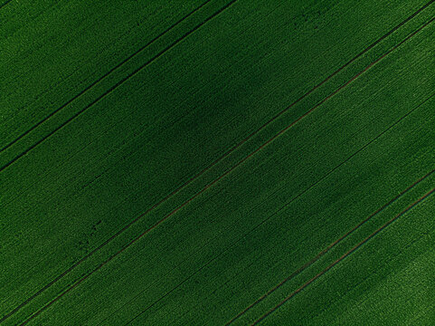 Countryside