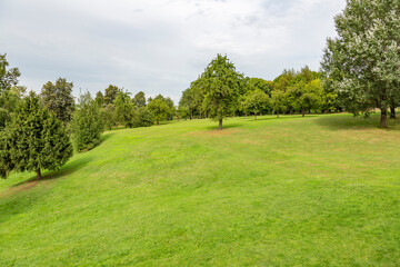 Fototapeta na wymiar Green grass in the recreation area of the city summer park