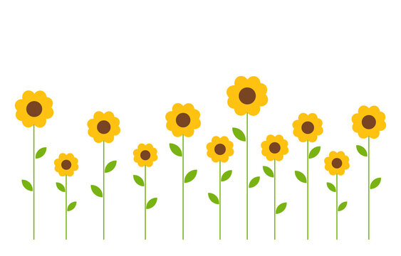 Cute yellow flowers background.