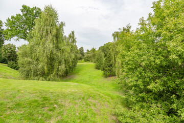 Green grass in the recreation area of the city summer park