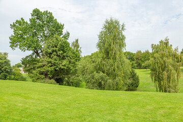 Green grass in the recreation area of the city summer park