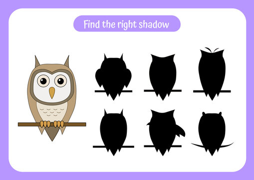 Educational game for children. Find two same owls. Trains attention.
