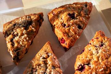 Close-up of freshly baked cranberry scones on waxed paper in a bakery case. Overhead view.