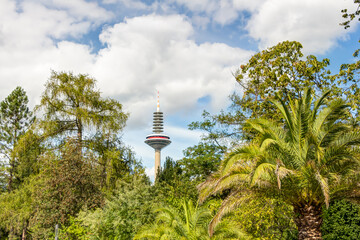 Palmengarten und Europaturm in Frankfurt am Main, Hessen