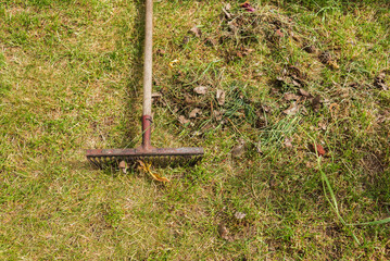 rake for cleaning foliage on green grass/leaf harvesting season with rakes against grass...