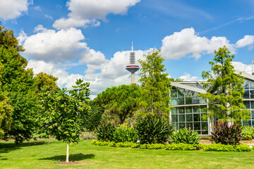 
Palmengarten und Europaturm in Frankfurt am Main 