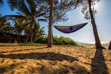 Obraz na płótnie Canvas Amazing South Indian Scene: Hammock Between Palm Trees on the Beach - Sun Rays