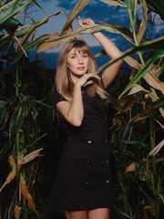 Fashion portrait of young blonde woman blue eyes in black trendy dress posing outdoors in corn field with flash strobe