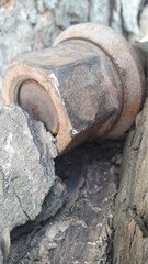 Parafuso enferrujado na árvore 01