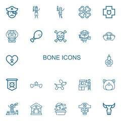 Editable 22 bone icons for web and mobile