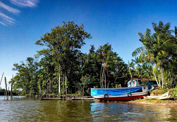 barco na beira do rio, árvores diversas, árvores de açaí, dia ensolarado, céu azul