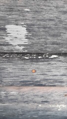 Textura de port&atilde;o de madeira abandonado