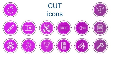 Editable 14 cut icons for web and mobile