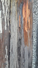 Textura de portão de madeira abandonada 6