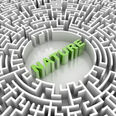 Conceptual maze, challenge and risk metaphor; original 3d rendering