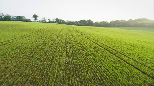 Wide aerial, agriculture fields in Ireland