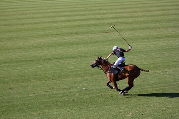 player on the horse