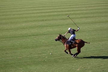 Fotobehang Paardensport player on the horse  © Víctor