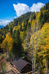 autumn in the mountains