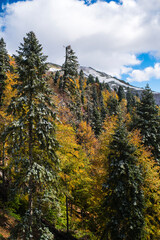 autumn in the mountains