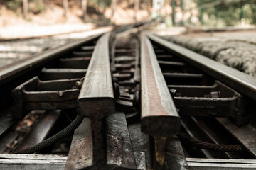 Disassembled railroad tracks in the forest