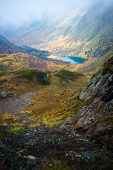 landscape in the morning