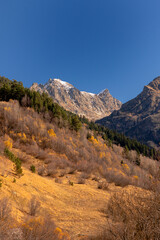 autumn in the mountains