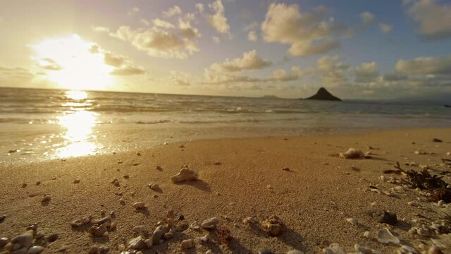 Low angle, sunset overt beach in Oahu
