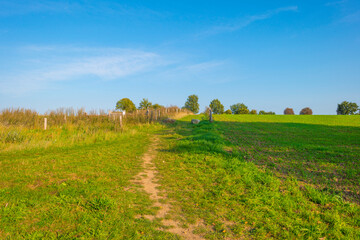 Fields and trees in a green hilly grassy landscape under a blue sky in sunlight at fall, Voeren,...