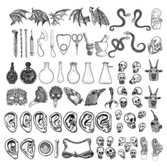Random magic elements set. Witchcraft spell symbols. Human ear, vampire wing, bird leg, scissors, bottle with potion, nail, mortar, pestle, crow head, snake, goat, syringe, skulls, mask, banner vector