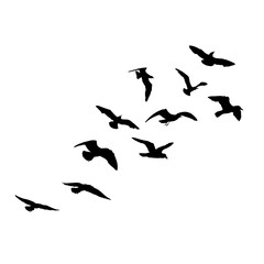 Set of seagulls birds, nautical sailor tattoo sketch. Black stroke of flying sea gull silhouettes on white background. Marine set. Drawings of different shapes of water birds in the flock. Vector.