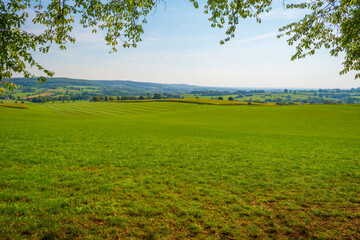 Fields and trees in a green hilly grassy landscape under a blue sky in sunlight at fall, Voeren, Limburg, Belgium, September 11, 2020