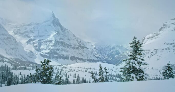 Wide view of Banff National Park mountains in winter
