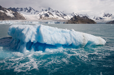 Twitcher Glacier,  South Georgia Island, Antarctica