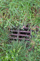 A heavy metal drain cover almost overgrown by grass and weeds.