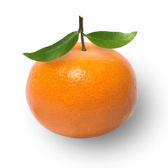 Isolated tangerine with green leaves on branch. Tangerine on white background.