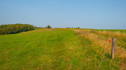 Fields and trees in a green hilly grassy landscape under a blue sky in sunlight at fall, Voeren, Limburg, Belgium, September 11, 2020