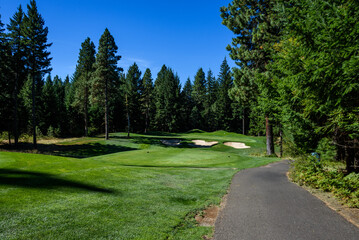 Fototapeta na wymiar Golf course fairway, cart path, sand traps, and green, with evergreen trees and sky in background 
