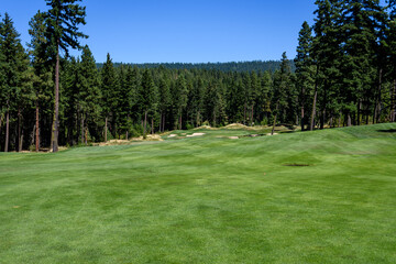 Golf course fairway, sand traps, and green, with evergreen trees and sky in background
